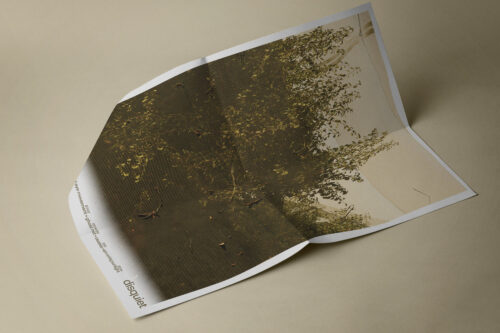 Disquiet